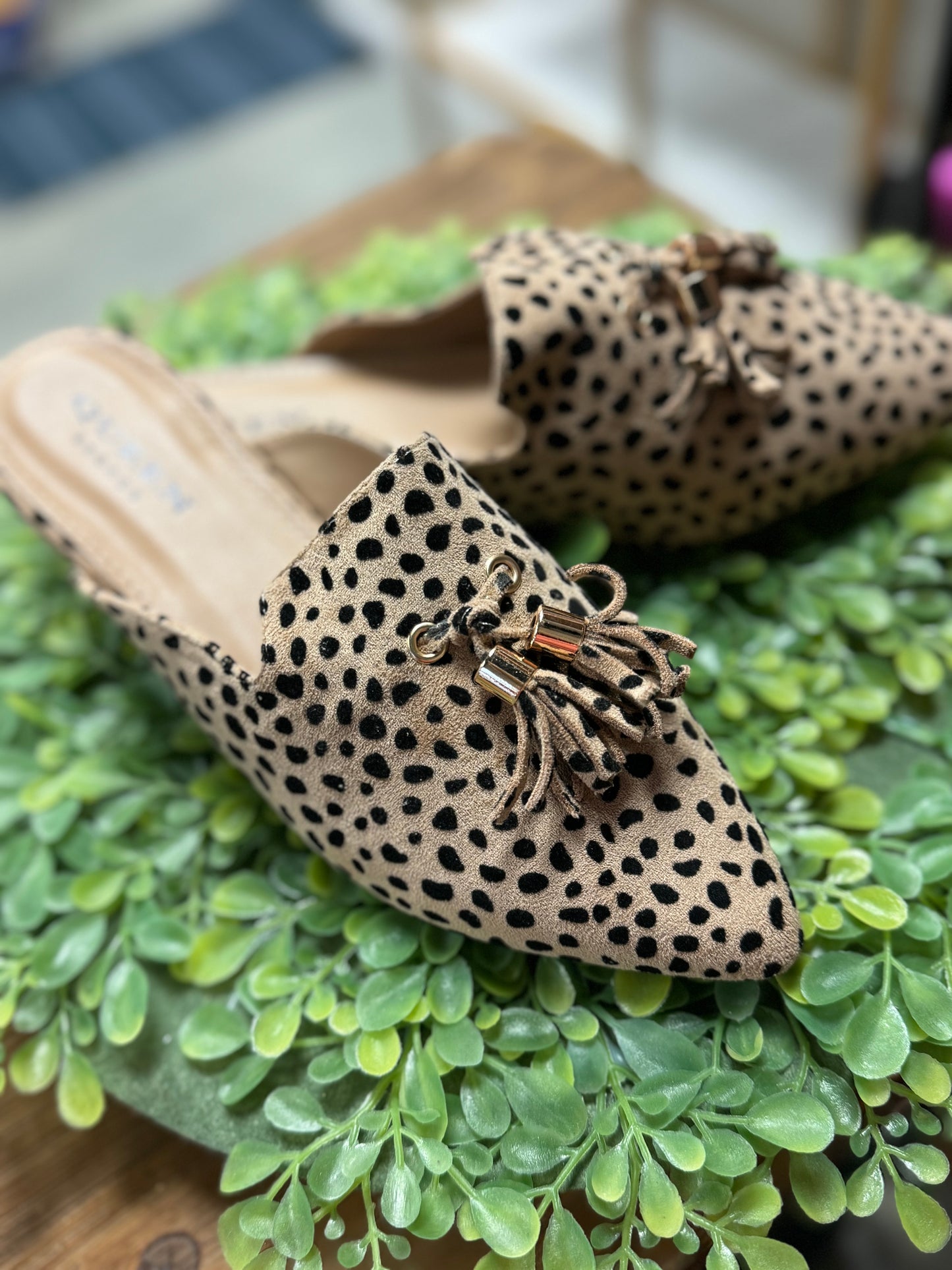 Cheetah Mule